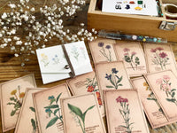 Picture Book Style Message Cards with a Case / Wild Flowers