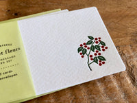 High Quality Letterpressed Washi Flora Mini Message Cards - Checkerberry