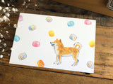 Shiba Inu Postcard - Candy