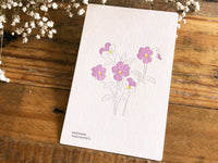 High Quality Botanical Garden Letterpress Postcard - Wild Pancy