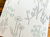 High Quality Botanical Garden Letterpress Postcard - Japanese Parsley