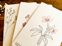 High Quality Botanical Garden Letterpress Postcard - Wild Pancy