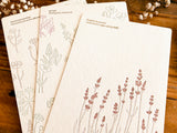 High Quality Botanical Garden Letterpress Postcard - Japanese Parsley