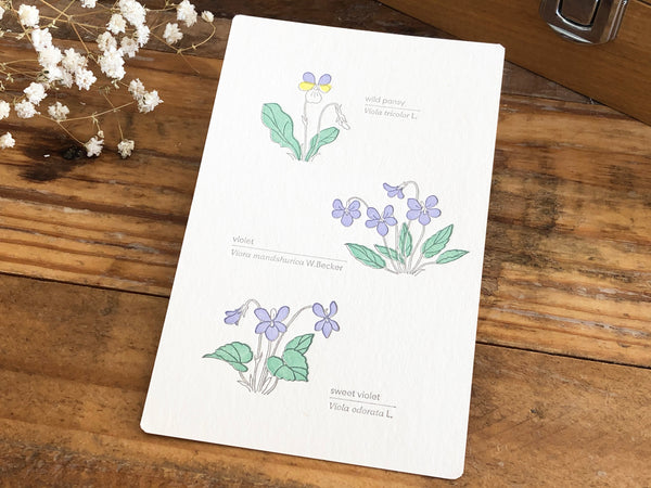 High Quality Botanical Garden Letterpress Postcard - Violet
