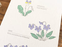 High Quality Botanical Garden Letterpress Postcard - Violet