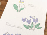 High Quality Botanical Garden Letterpress Postcard - Violet