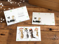 Mofusand Little Message Cards-Sushi