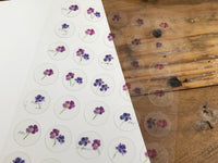 YOHAKU Original Clear Sticker - Viola
