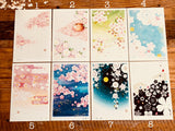 Beautiful  Sakura Cherry Blossom Postcards by Kyou Izumi