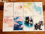 Beautiful  Sakura Cherry Blossom Postcards by Kyou Izumi
