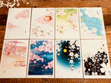 Beautiful  Sakura Cherry Blossom Postcards by Kyou Izumi