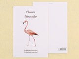 Beautiful Postcards - Flamingo