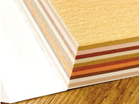Kamiterior Mini Memo Pad - Brown Tiger Cat