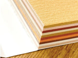 Kamiterior Mini Memo Pad - Brown Tiger Cat
